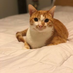 Meet your Posher, Walter